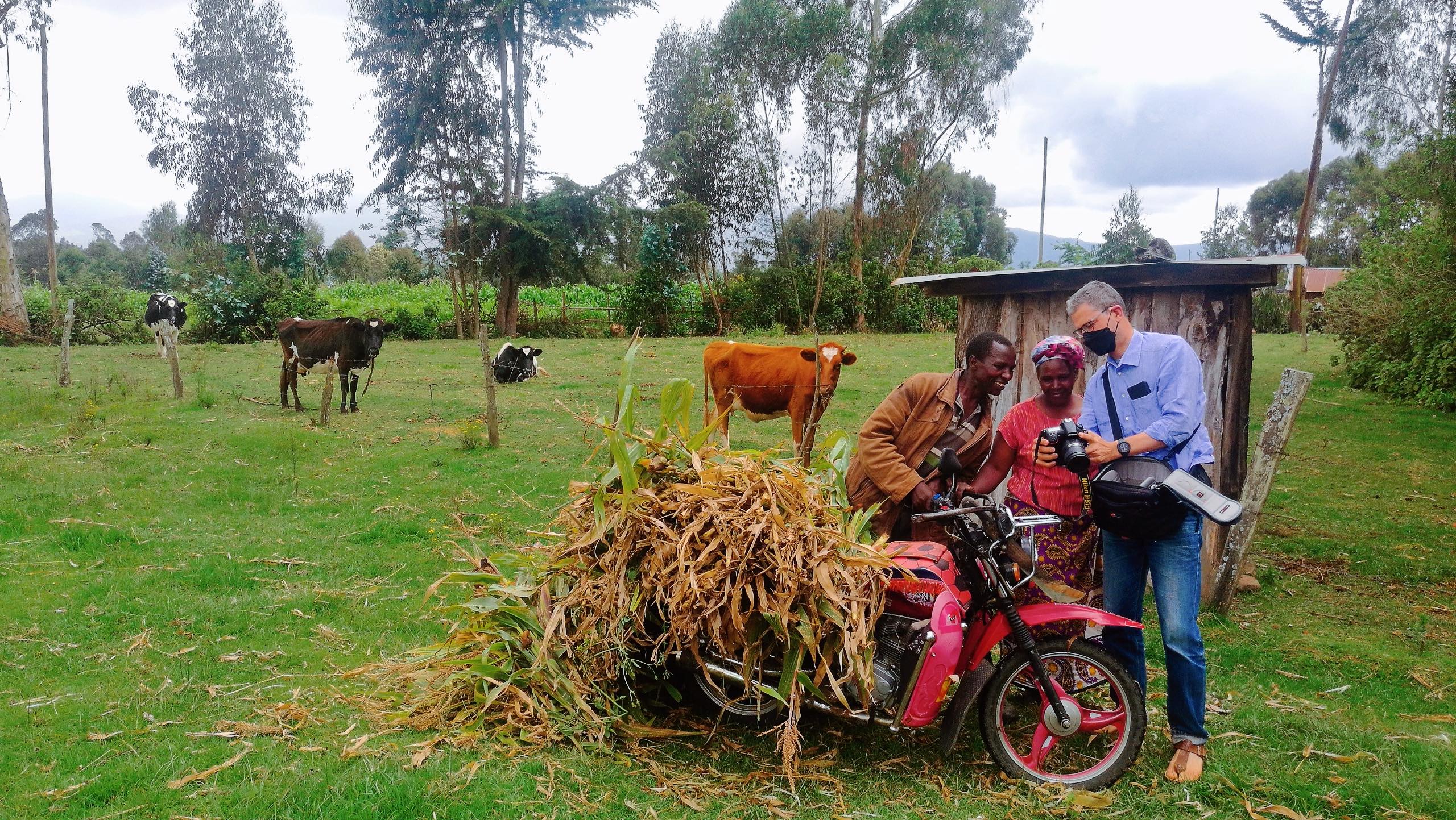 dairy_farm